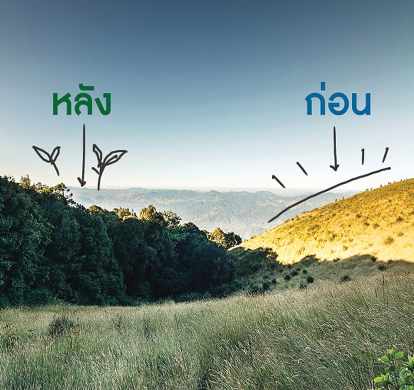 ดอยหัวล้านกับผลการรักษา