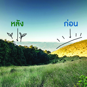 ดอยหัวล้านกับผลการรักษา